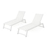 Myers - Modern Chaise Lounge Set With Adjustable Back
