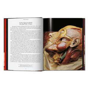 Anatomical Waxes. 45th Ed. (German, French, English)