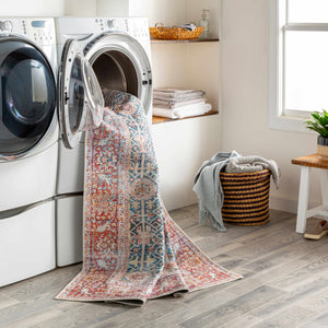 Rust Catadupa Distressed Washable Area Rug - Clearance