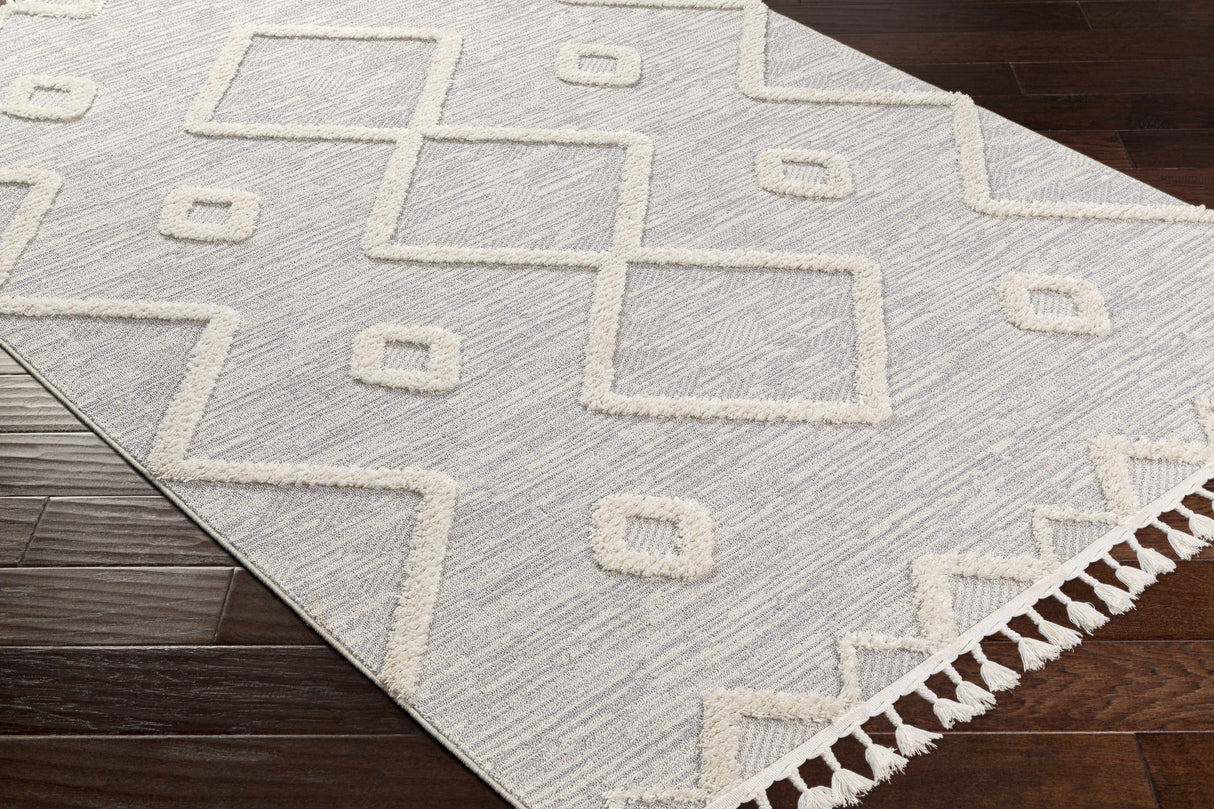 Cauldwell High/Low Pile Rug with Tassels - Clearance