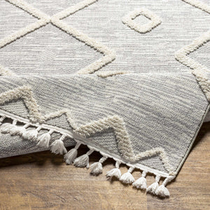 Cauldwell High/Low Pile Rug with Tassels - Clearance