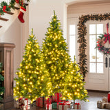 8FT, 6FT, 4FT The 3-Piece Pre-Lit Classic Evergreen Collection