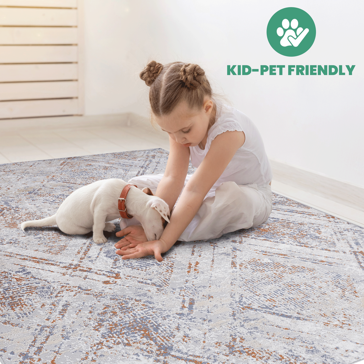 NAAR PAYAS Collection Geometric Non-Shedding and Stain Resistant Area Rug
