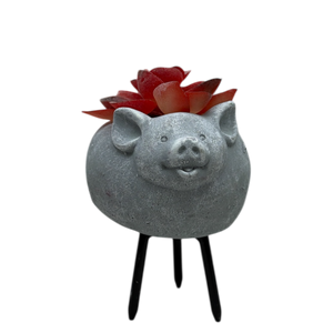 Faux Red Succulent In Planter - Pig