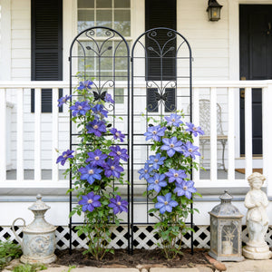 2 Pack Metal Garden Trellis 86.7" x 19.7"