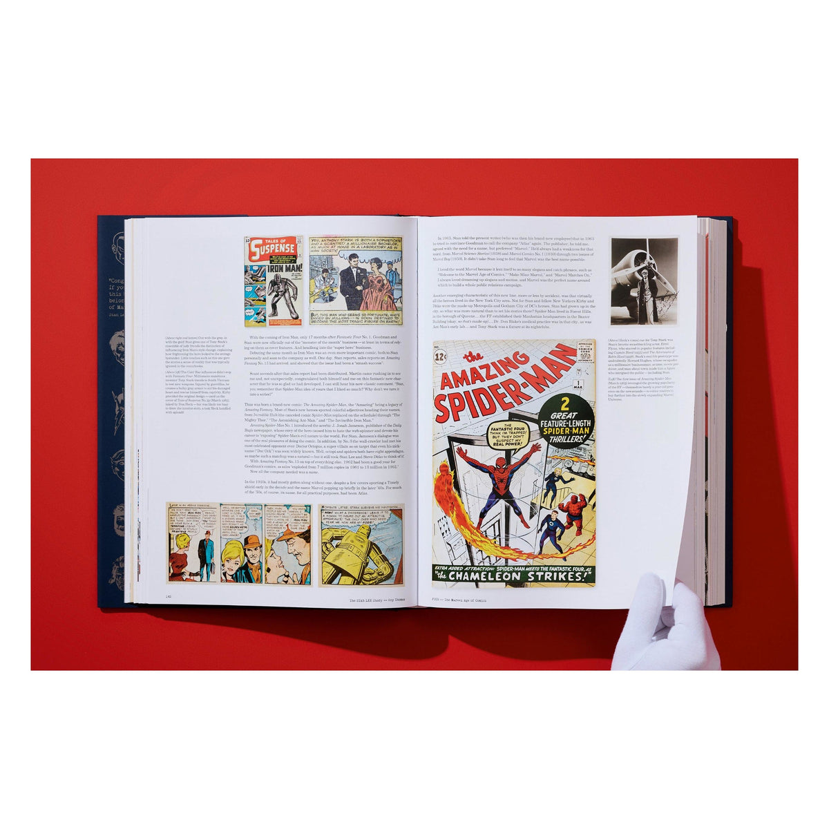 The Stan Lee Story (English)
