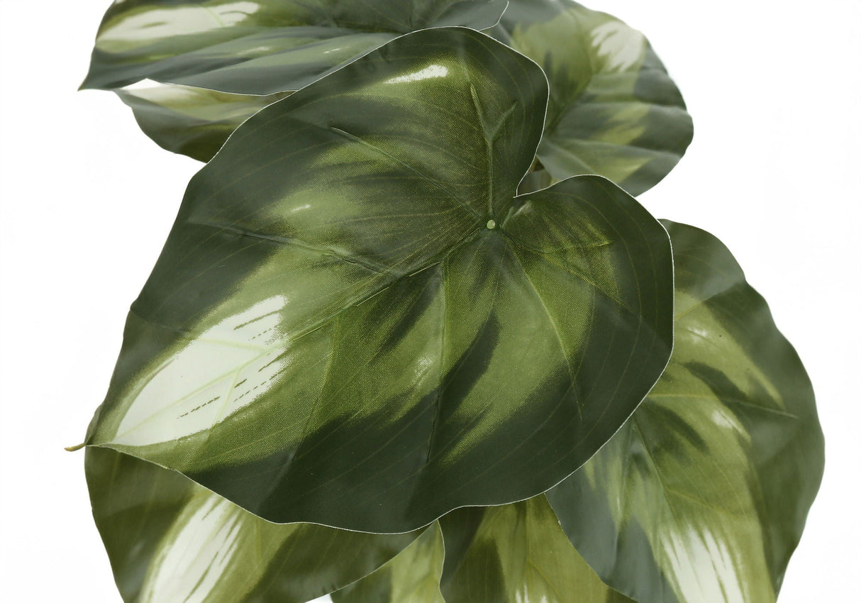 13" Tall Artificial Monstera and Calathea Plants (Set of 2)