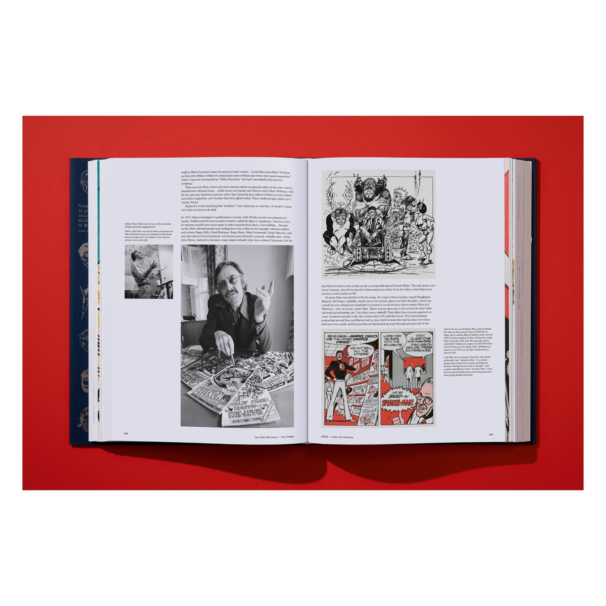 The Stan Lee Story (English)