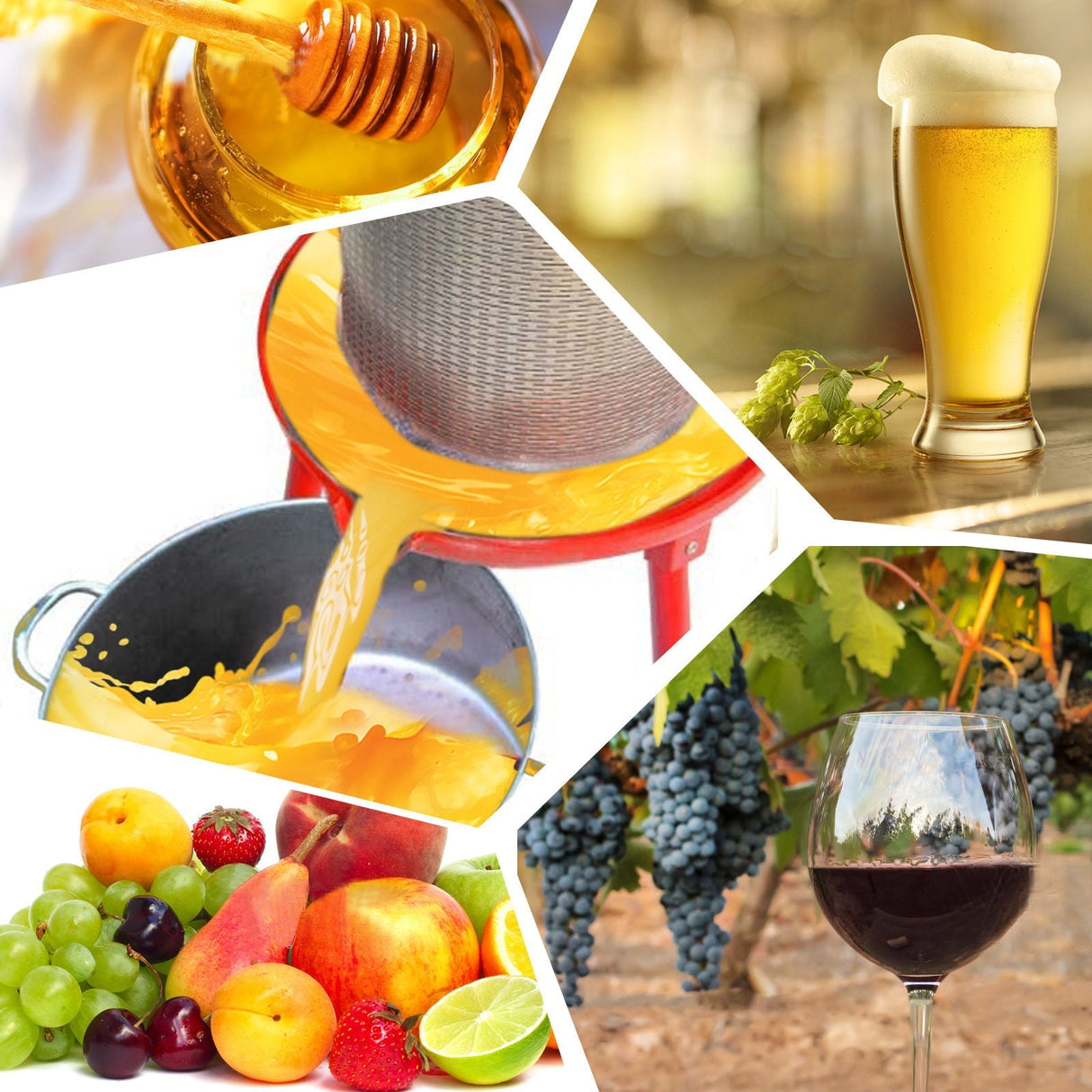 Hydraulic Fruit Wine Apple Press 5.3 Gallon / 20L