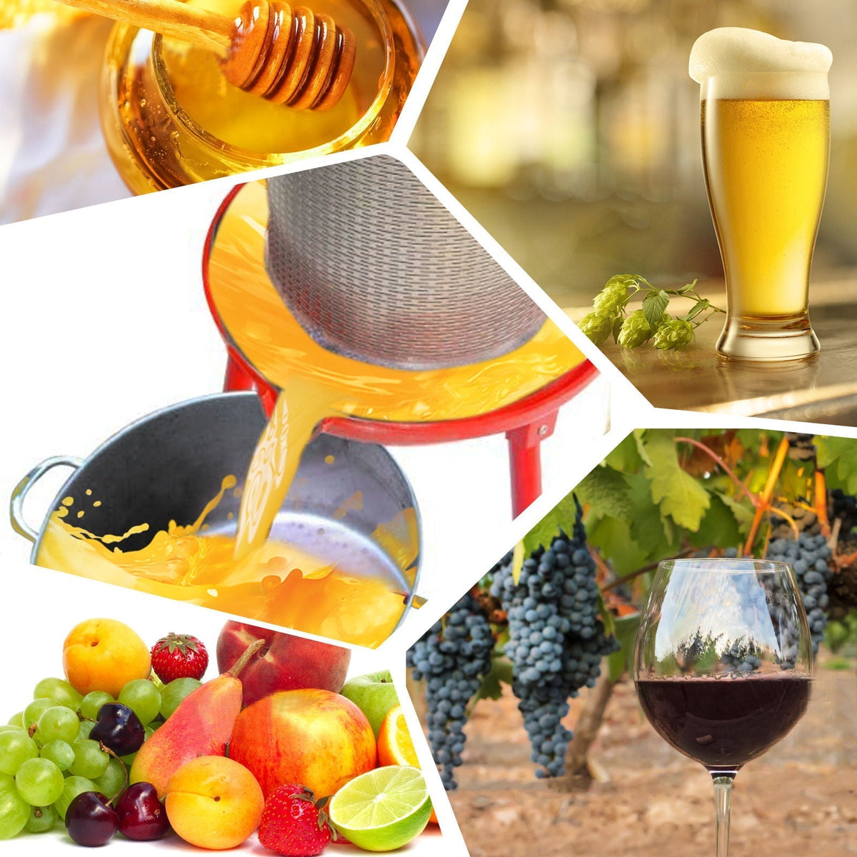 Hydraulic Fruit Wine Press With Apple Crusher - Green