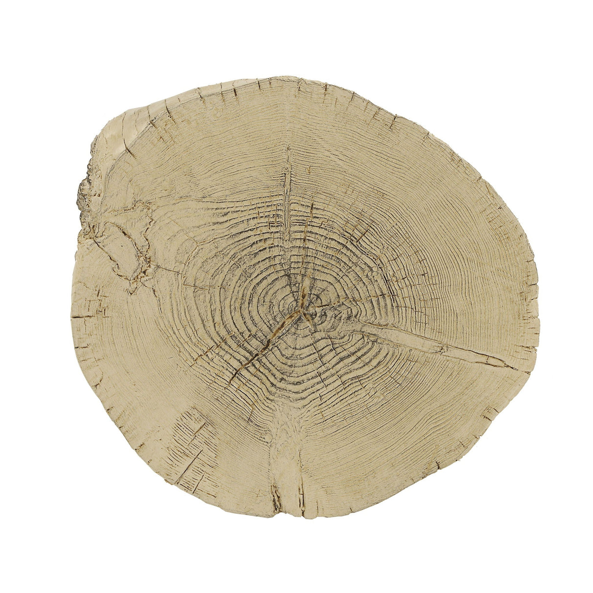 Gene Fiber Concrete Accent Table - Brown