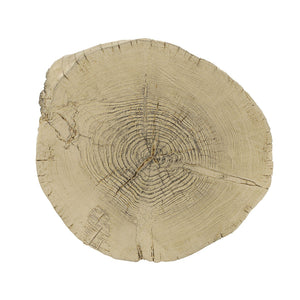 Gene Fiber Concrete Accent Table - Brown
