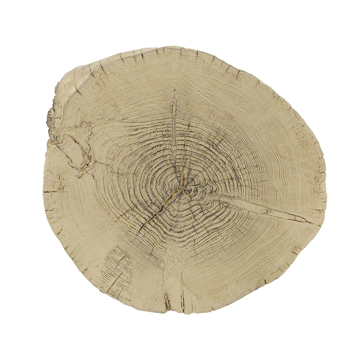 Gene Fiber Concrete Accent Table - Brown