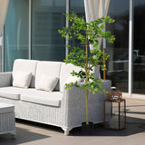 6FT Tall Artificial Tree, Fake Polyscias Fruticosa Plant for Indoor Decor