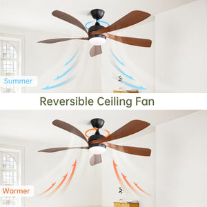Ceiling Fan & DC Motor And Integrated Light