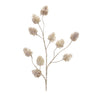 Champagne-Pinecone-Spray-(Set-of-6)-Christmas-Decor