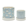 Chicken-Pattern-Planter-with-Plate-(Set-of-2)-Pots-&-Planters