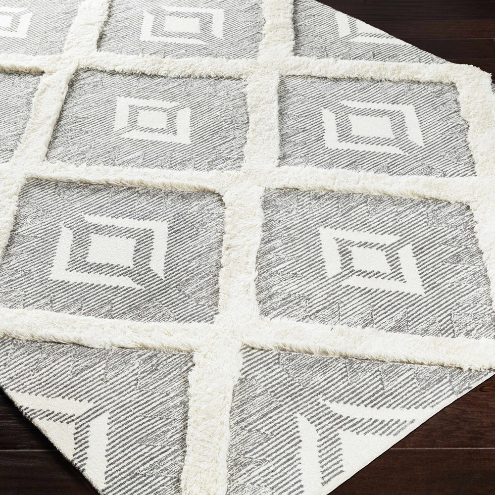Imnaha Area Rug - Clearance