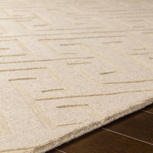 Chromo Area Rug - Clearance