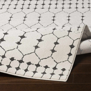 Chubbuck Moroccan Trellis Rug - Clearance