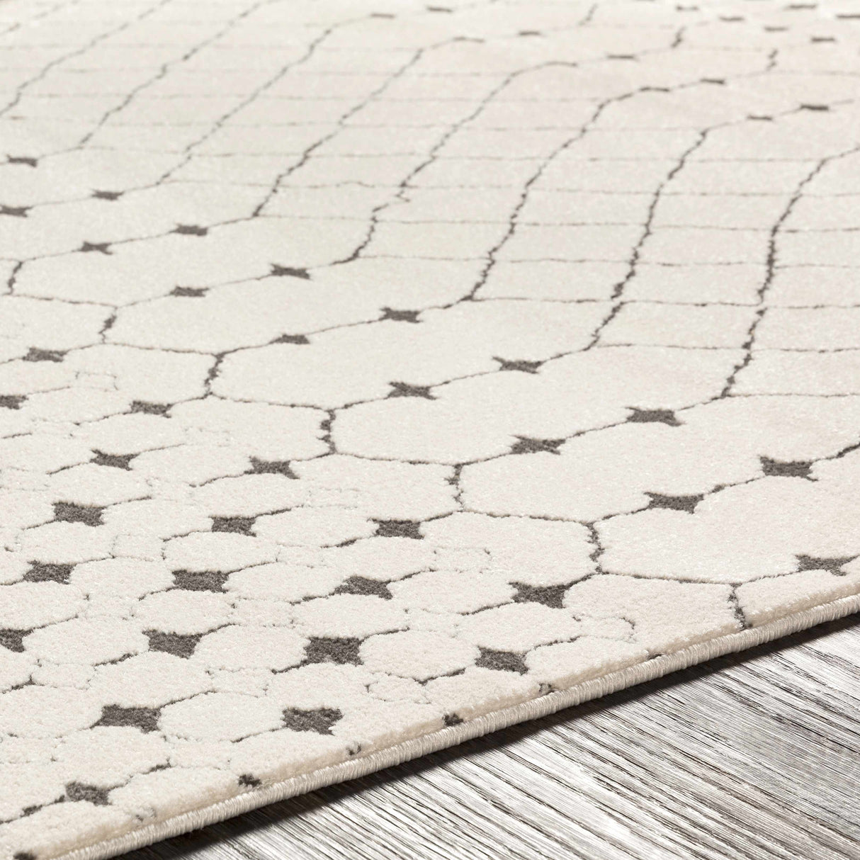 Chubbuck Moroccan Trellis Rug - Clearance