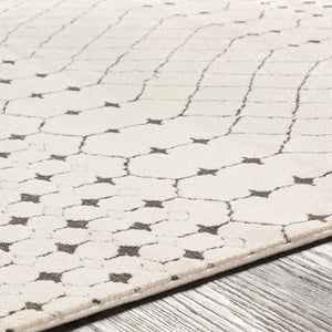 Chubbuck Moroccan Trellis Rug - Clearance