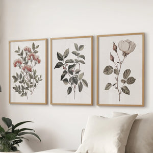 Set of 3 Floral Posters. Rose Flower Vintage Wall Art