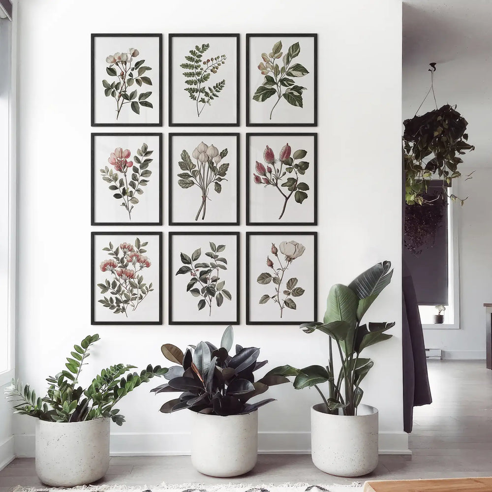 Set of 9 Botanical Posters. Vintage Flowers Wall Art