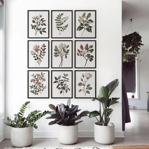 Set of 9 Botanical Posters. Vintage Flowers Wall Art
