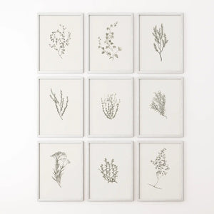 Botanical Wall Art Set of 9. Vintage Herbal Plant Prints