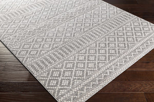 Camber Area Rug - Clearance