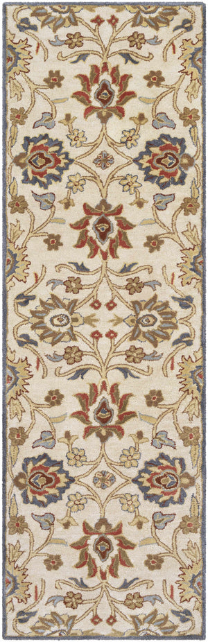 Conesus Hand Tufted Blue & Rust 1204  Area Rug - Clearance