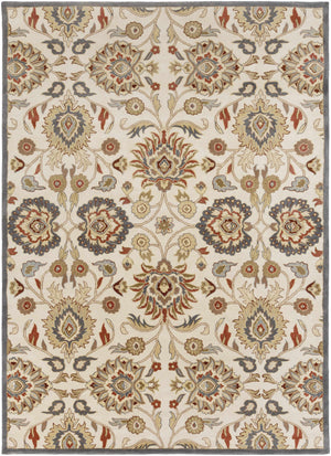 Conesus Hand Tufted Blue & Rust 1204  Area Rug - Clearance