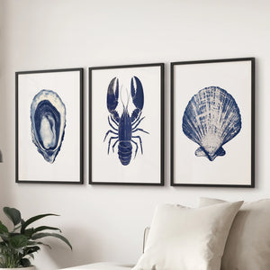 Lobster, Shell Nautical Prints.Coastal Set of 3 Piece