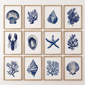 Bundle Coral, Shell, Lobster Wall Art. Set of 12 Artwork