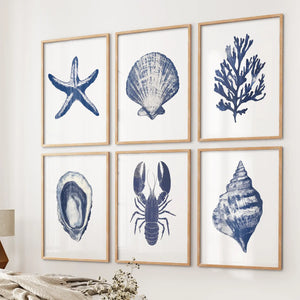 Coastal Set of 6 Art Prints. Shell, Lobster, Starfish, Seaweed