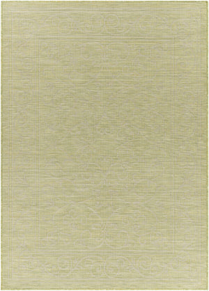 Coolville Flatweave Area Carpet - Clearance