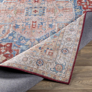 Corio Area Rug - Clearance