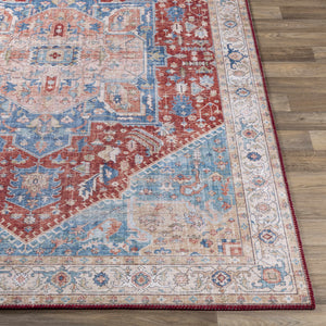 Corio Area Rug - Clearance