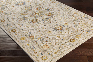 Coromandel Oushak Area Rug Medium Pile 100% Polyester Traditional Rug
