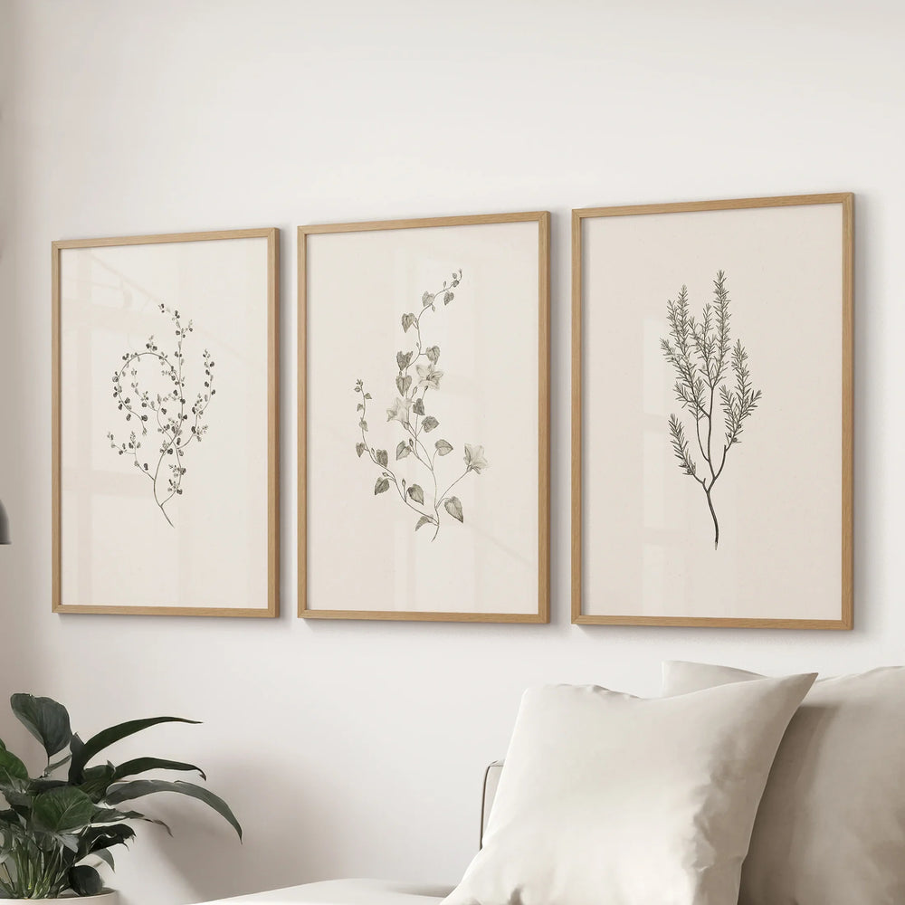 Vintage Dried Flower Wall Art. Set of 3 Rustic Botanical Prints