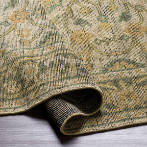 Coylton Area Rug - Clearance