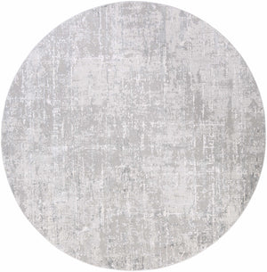 Cozahome Faux Silk Rug