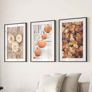 Cozy Fall Wall Art Set of 3. Pumpkins and Autumn Leaves
