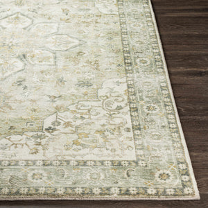 Crondall Sage Traditional Area Rug