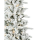 Christmas Trees