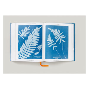Anna Atkins. Cyanotypes (German, French, English) (FFE)
