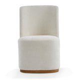 Modern Indoor Dining Chair Set of 2