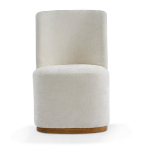 Modern Indoor Dining Chair Set of 2