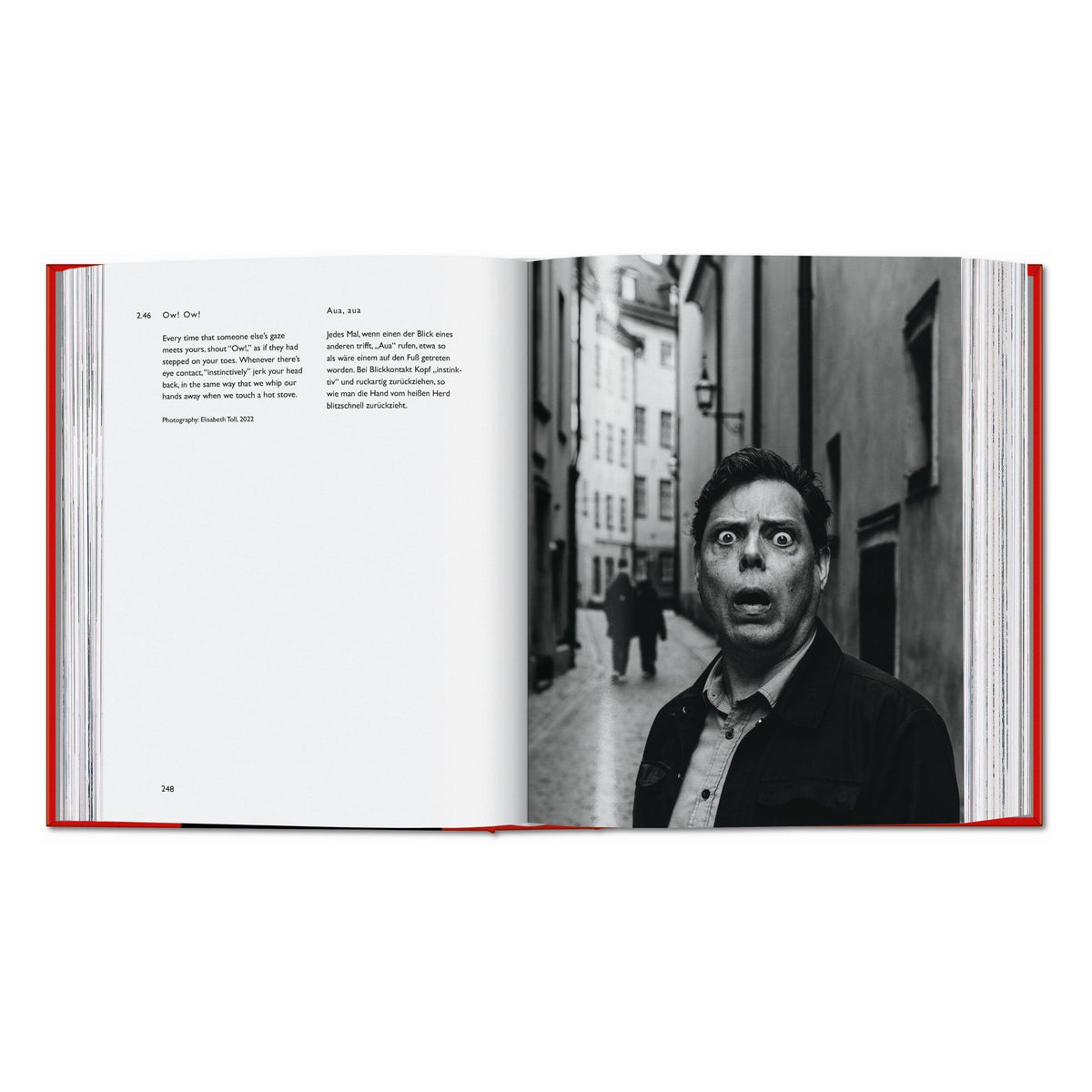 Carsten Höller. Book of Games (German, English)